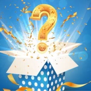 Mystery Surprise Box